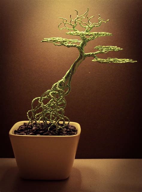 How To Wire A Bonsai Plant