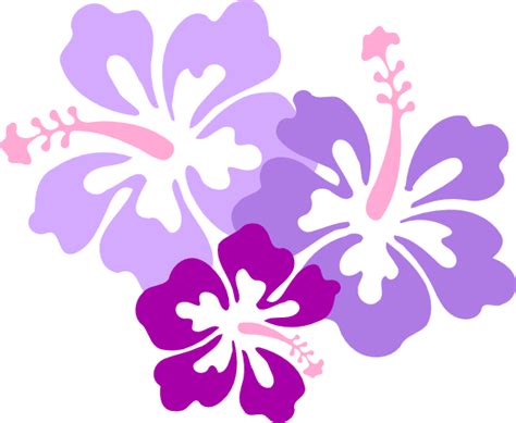 Hibiscus Trifecta1 Clip Art At Vector Clip Art Online