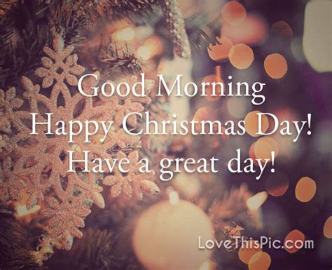 Good Morning Happy Christmas Day Pictures Photos And Images For