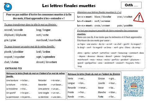 Les Lettres Muettes Exercices