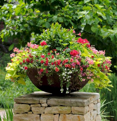 Make Your Home Beautiful With Stunning Container Garden Ideas 25
