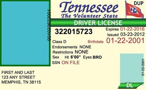 Tennessee Drivers License Template Williamson