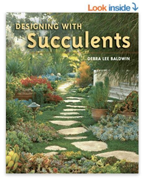 Debra Lee Baldwins Books On Succulent Design Care Varieties