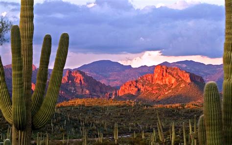 Things To See In Tucson 4 Great Places For Arizona
