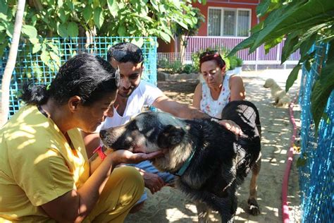 Personas Intervienen Para Salvar A Un Perro Que Era Arrastrado Por Un Auto