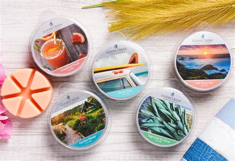 Discover An Amazing Selection Of Wax Melts That Add A Delicious Scent