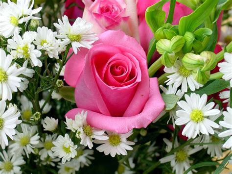 I fiori sono uno degli spettacoli della natura più ricco di bellezza. Immagini belle fiori | Immagini Belle