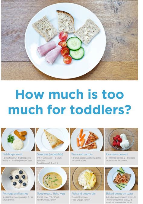 Offer foods with different tastes, textures and colours according to canada's food guide. Portion Sizes for Toddlers | Food portion sizes, Food ...