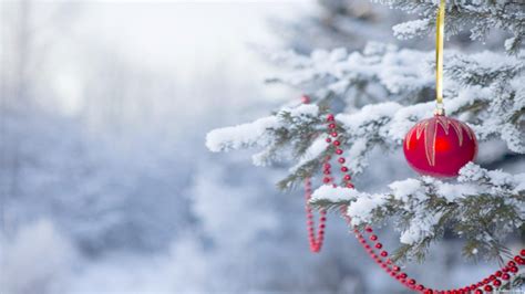 Best place of free vector for free download. Xmas Wallpapers (66+ images)