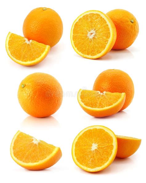 Collection Citrus Orange Fruit Isolated On White Stock Image Image Of