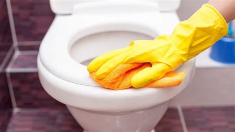 8 Surprising Ways To Clean Your Toilet That Actually Work