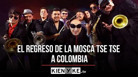 La gira de La Mosca Tse Tse en Colombia y su próximo álbum YouTube
