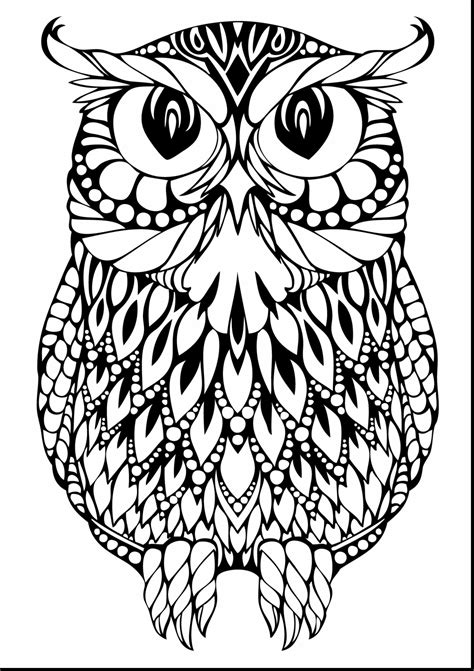 Realistic Owl Drawing At Getdrawings Free Download