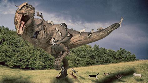 Jurassic World T Rex Wallpaper 77 Images