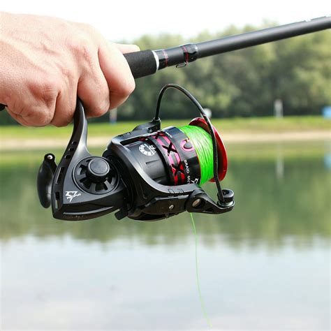 Best Spinning Reels Under Reviewed In Detail Fall