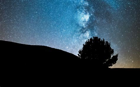 Download Wallpaper 1680x1050 Night Tree Starry Sky Dark Milky Way
