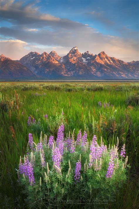 Grand Teton National Park Alan Majchrowicz Photography