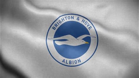 Brighton Hove Albion England White Logo Flag Loop Background 4k Youtube