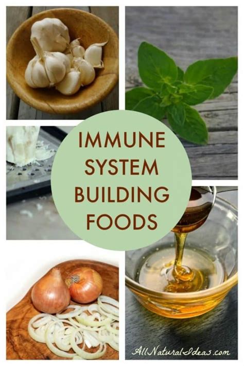 8 Foods To Strengthen Immune System For Winter All Natural Ideas