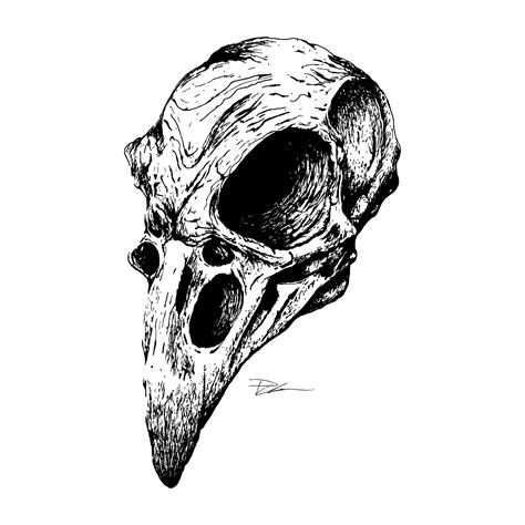 Creepy Raven Skull Drawing Beachweddingoutfitguestmen