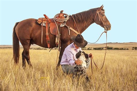 Free Photo Cowboy Horse Dog Pasture Free Image On Pixabay 1130695