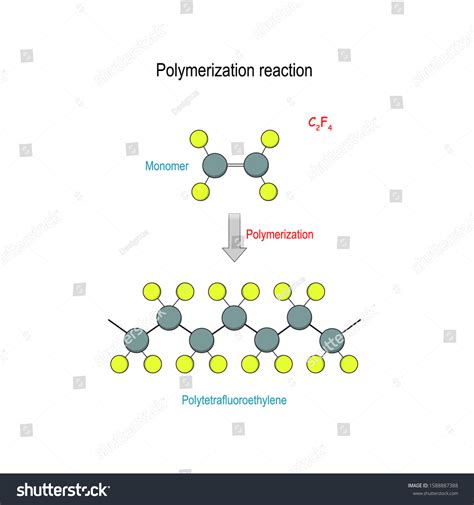 Polytetrafluoroethylene Ptfe Molecule Chemical Reaction Polymerization