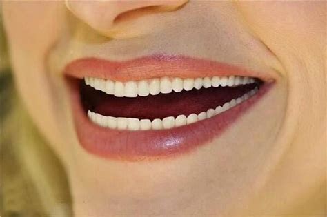 This Smile With Too Many Teeth Roddlyterrifying