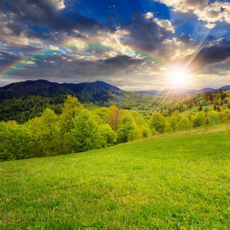 Green Grass On Hillside Meadow In Mountain At Sunset Stock Image
