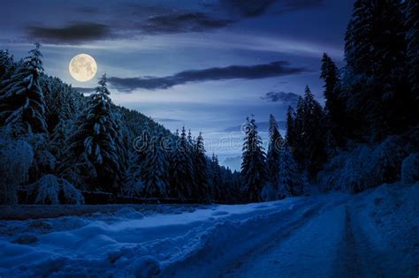 Full Moon Snowy Forest Night Stock Photos Download 399