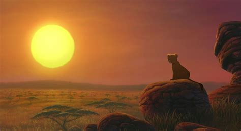 Image Result For Lion King Sunset Lion King Ii Lion King Lion King 2