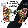 IRON BUTTERFLY Evolution: The Best of Iron Butterfly reviews