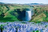 Top 8 Must Visit Waterfalls in Iceland & Where To Find Them!