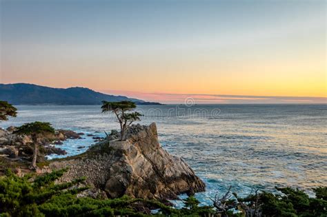 Lone Cypress Tree View At Sunset Along Famous 17 Mile Drive Monterey