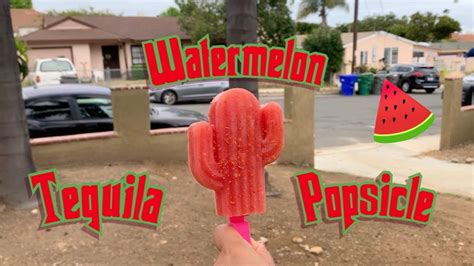 Watermelon Tequila Popsicles With Silvia Youtube