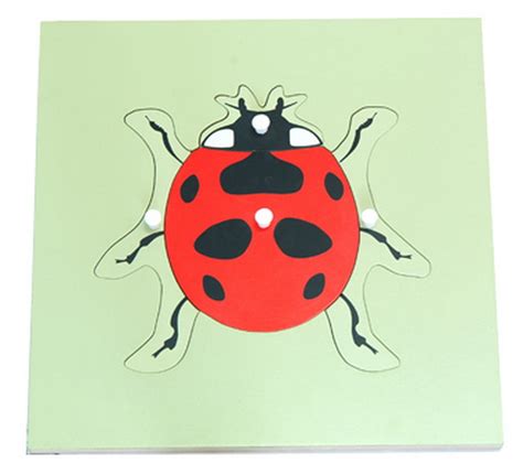 Ladybug Puzzle