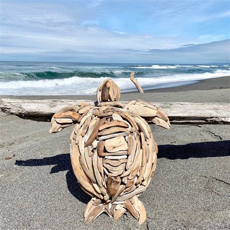 Sea Turtle Driftwood Wall Hanging Etsy Driftwood Sculpture