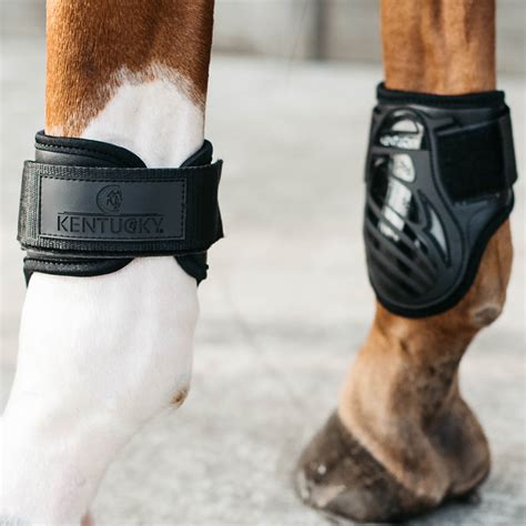 Fetlock Boots Kentucky Young Horse Hind Our Saddlery