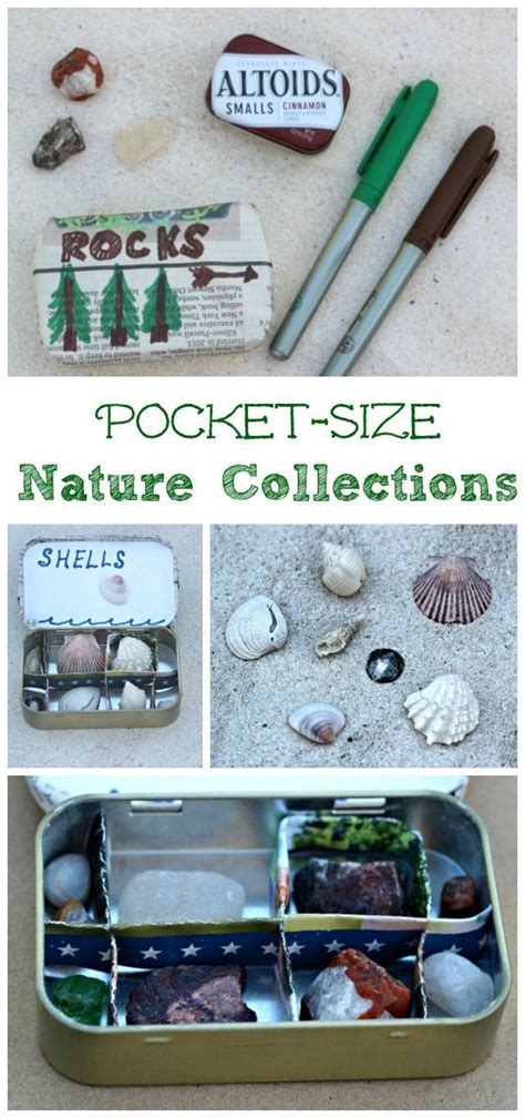 How To Start And Organize A Nature Collection Easy Science