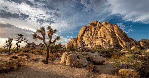 Joshua Tree Backpacking Map Hugely Blogosphere Picture Gallery