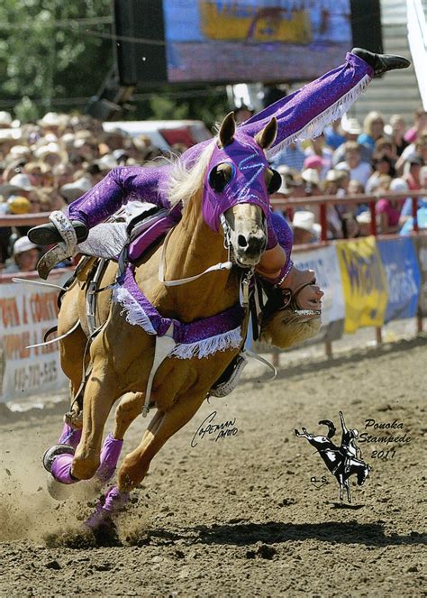 Trick Riding Professional Trick Riding Team Contrast Rodeo Events