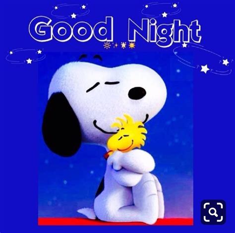Pin By Tracey Goetheyn On Snoopy Goodnight Snoopy Good Morning