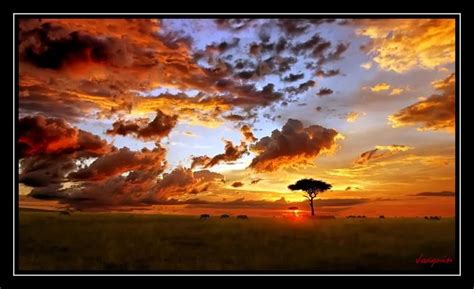 Africa Memories Of Africa Kenya © Joaquin Tornel Sky And
