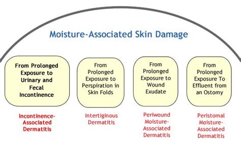 NdnqiÂ® Pressure Ulcer Training V 50 Module Ii Skin Assessment