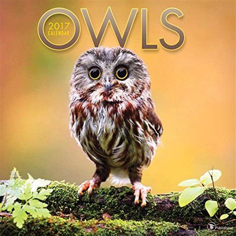 2017 Owls Wall Calendar By Tf Publishing Calendar Book Wall Calendar