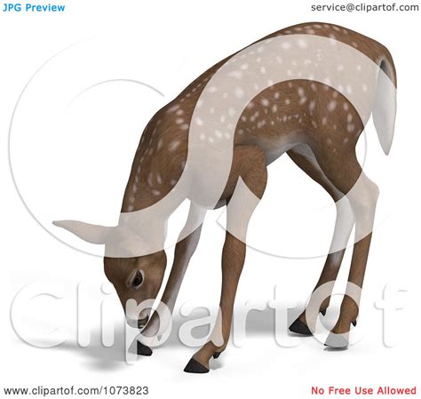 Clipart 3d Baby Yearling Deer Fawn Grazing 3 Royalty Free Cgi
