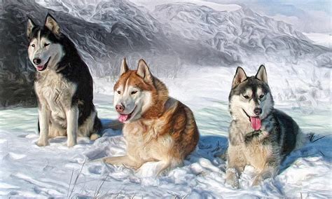 Alaskan Malamutes Dogs Winter Snow Painting Lovelscenic Three