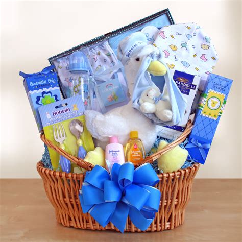 As you begin the most amazing journey of your life may you spend each and every day enjoying the wonderful, loving gift that has come into your lives. Special Stork Delivery Baby Boy Gift Basket - Gift Baskets ...