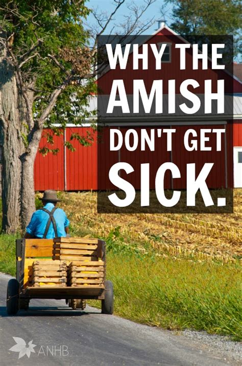 Why The Amish Dont Get Sick Updated For 2018
