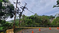 卡努颱風吹倒巨樹壓斷電桿起火 新北新店「近百戶停電」