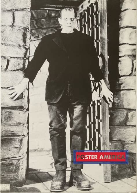 Boris Karloff As Frankensteins Monster Vintage 1995 Poster 24 X 34 Ph Posteramerica